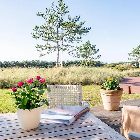 Steger-hues 13 * Sylt